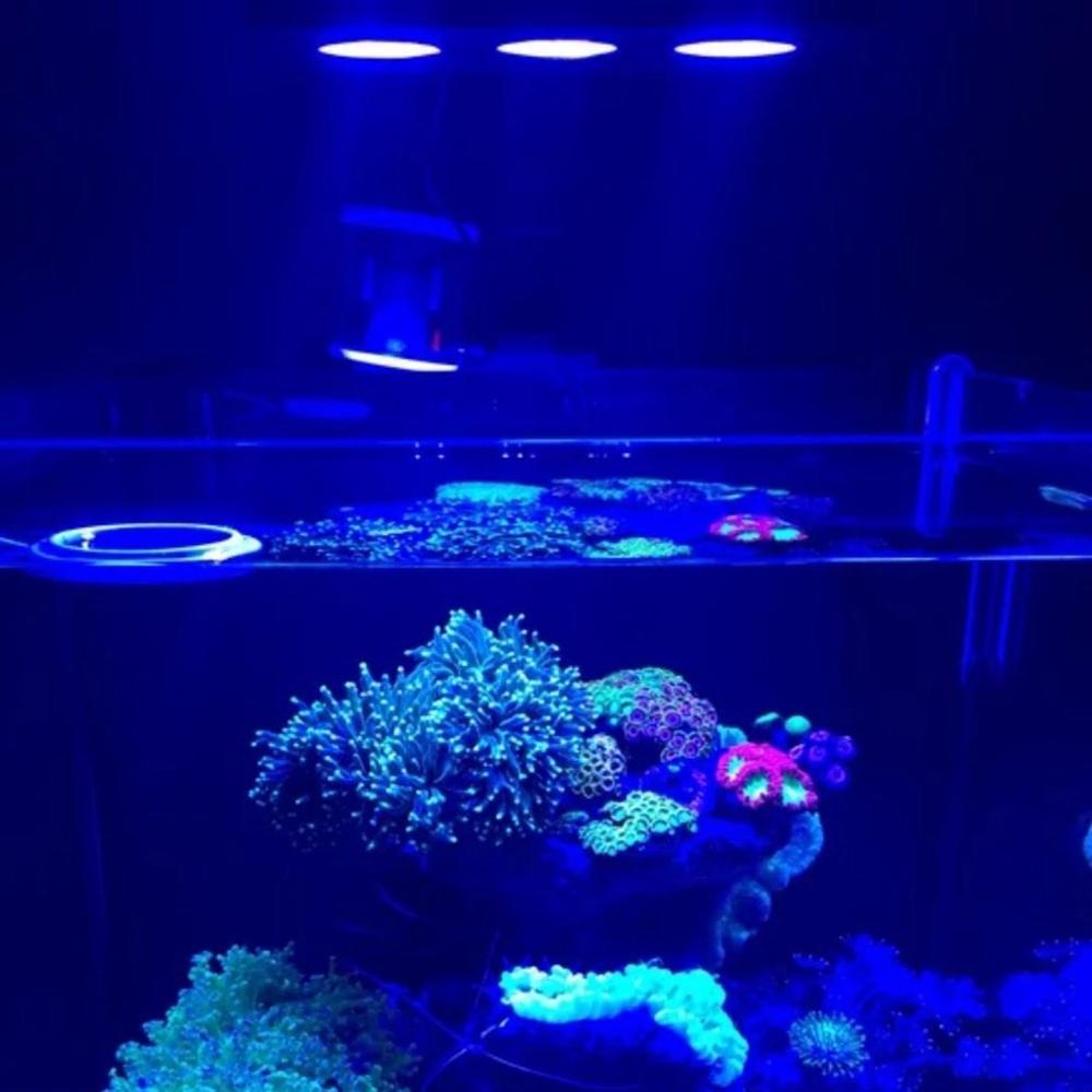 LED Spectra Nano Aquarium Light 30W Saltwater Lighting with Touch Control for Coral Reef Fish Tank US EU Plug